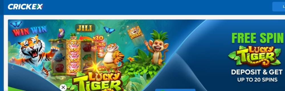 क्रिकएक्स